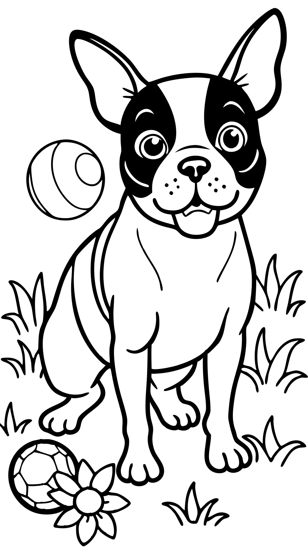 Páginas para colorear de Boston Terrier